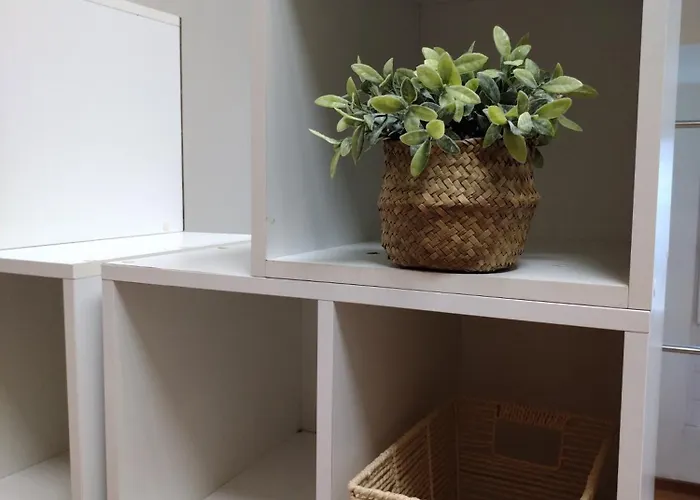 Privadas A Parada Do Camino 招待所 帕德隆